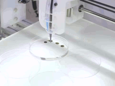printing-protocells