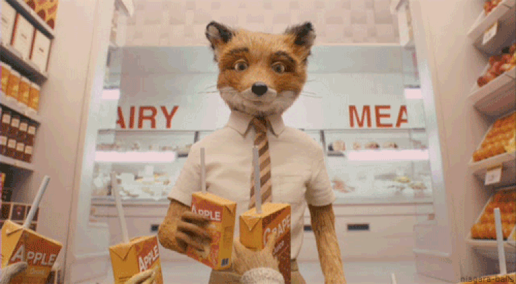 Wes Anderson Fantastic Mr Fox