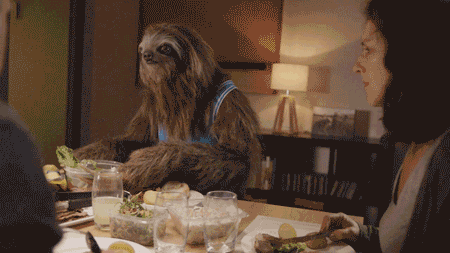 stoner sloth