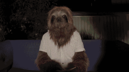 stonersloth
