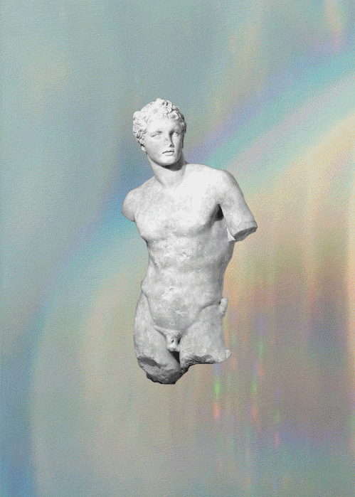  Live Wild *CHARLOTTEFOS_LatinStudies5 22