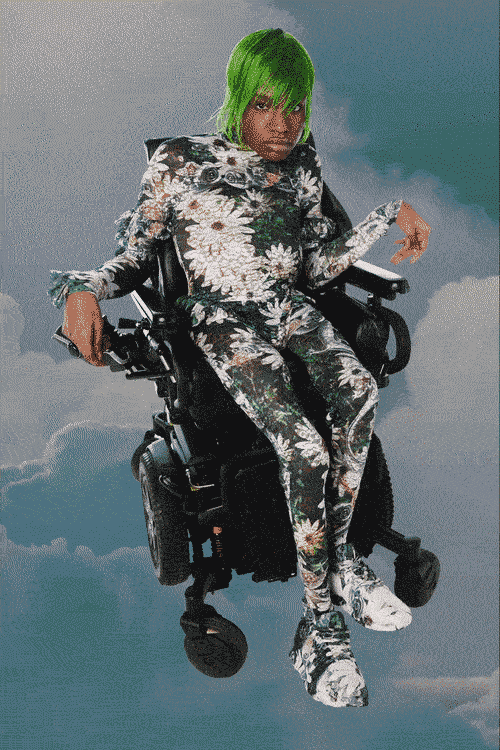 Collina Strada AW21 collection Aaron Philip frog